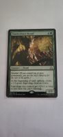 MTG - Tendershoot Dryad