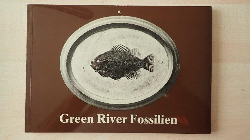 Libri: Buch Green River Fossilien – Usato da Rickenbach BL venduto da Oktober68