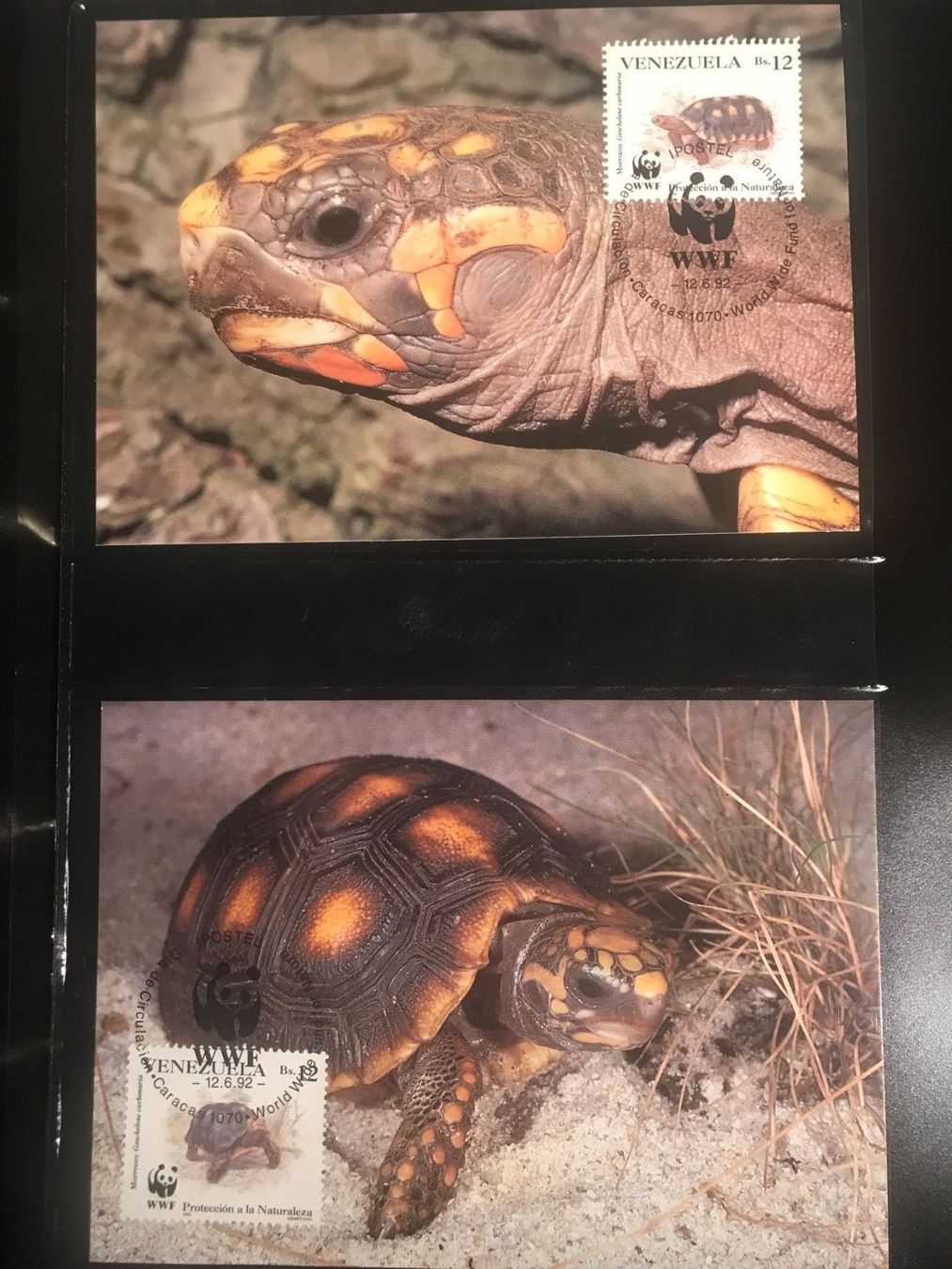 Alle Briefmarken: WWF Venezuela 1992 Satz Schildkröten Maximumkarten – Neu (gemäss Beschreibung) aus Winterthur von schnueps 1