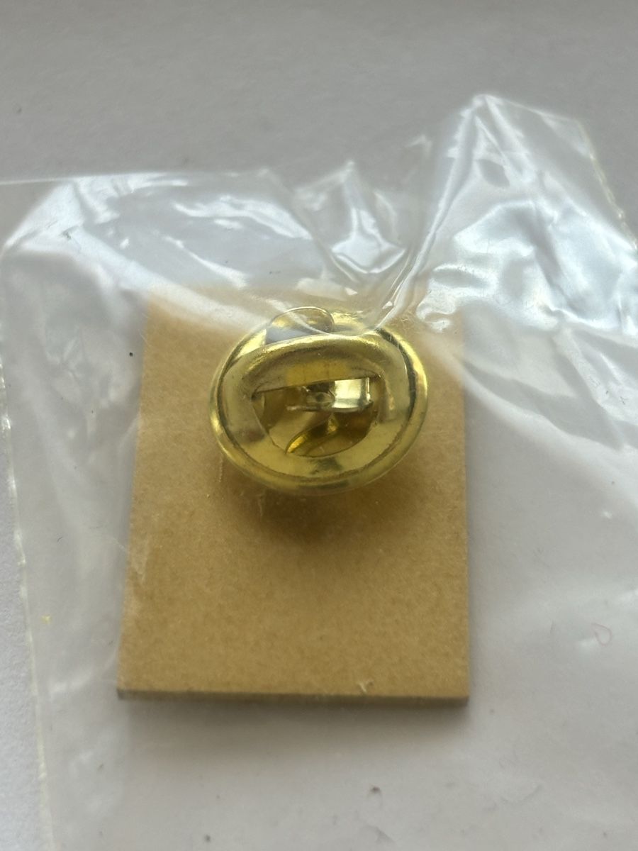 Placchette & Badge: Pin Katze 100 Stück – Nuovo (secondo la descrizione) da Langnau am Albis venduto da flusspflege 1