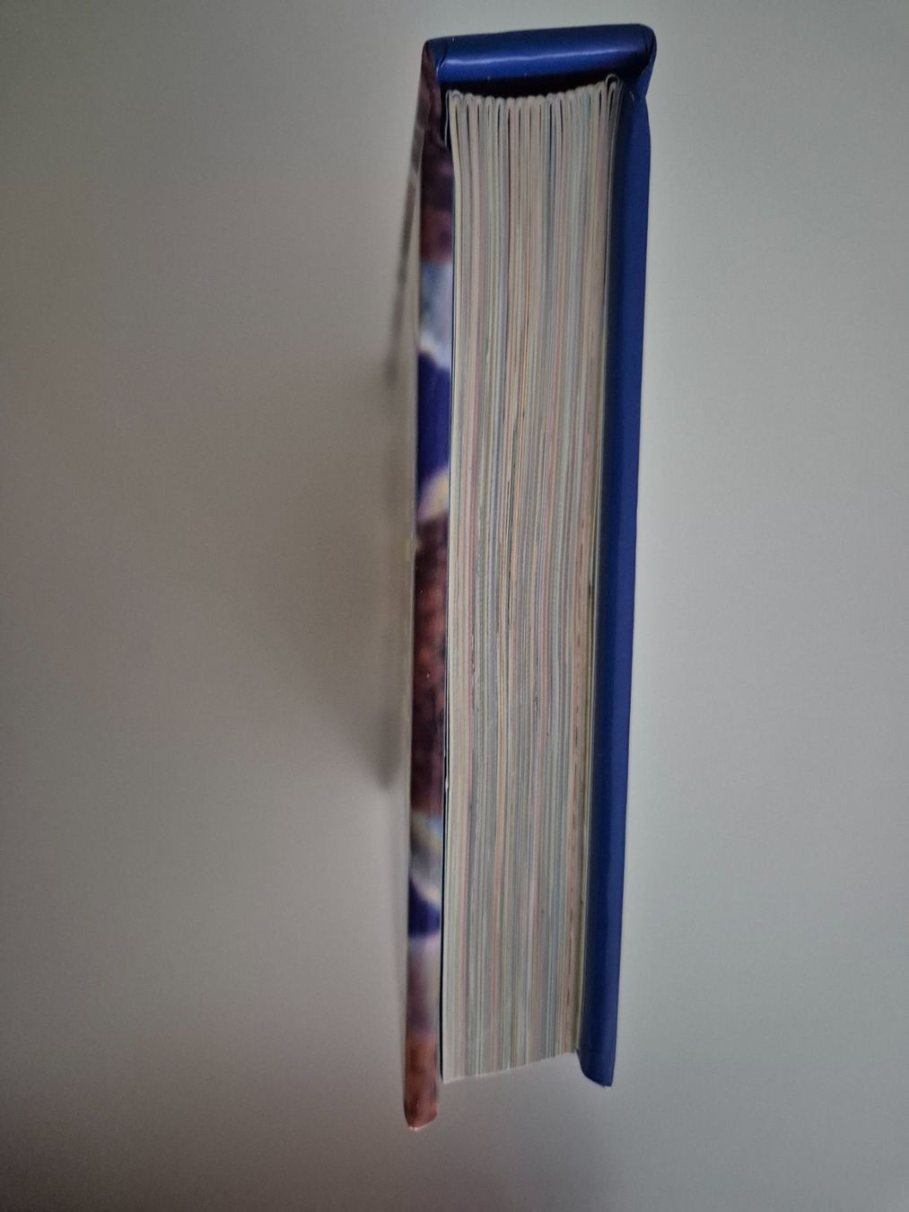 Bücher: Beste Rezepte: Schokolade Buch – Gebraucht aus Zürich von pau_y8mv 3