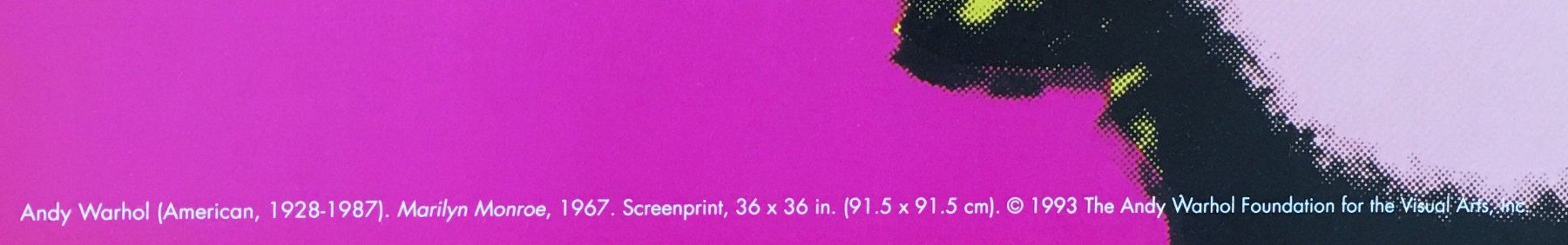 Grafica & Litografie: Andy Warhol       "Marilyn pink"  KUNSTDRUCK – Usato da Nennigkofen venduto da Schamane75 2