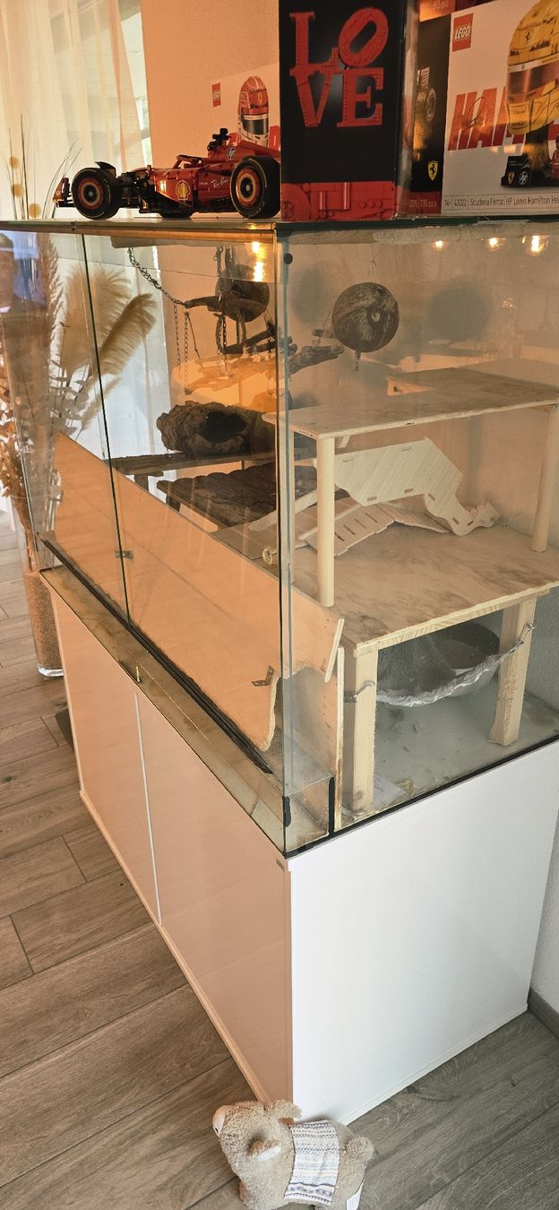 Terrario: Terrarium mit Üntermöbel 120x80x60 – Usato da Näfels venduto da PACCIONE1984 2