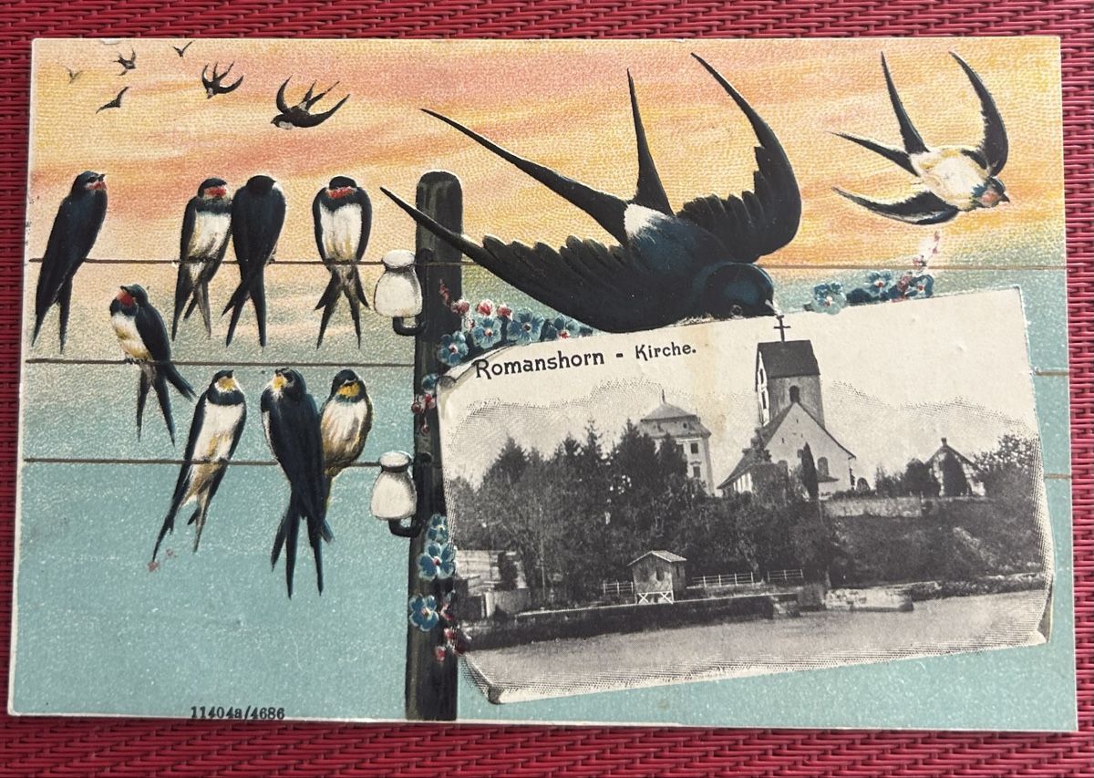 Cartoline postali: Prägekarte Romanshorn  – Usato da Horw venduto da Tellbub