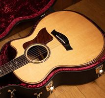 Chitarra acustica Taylor