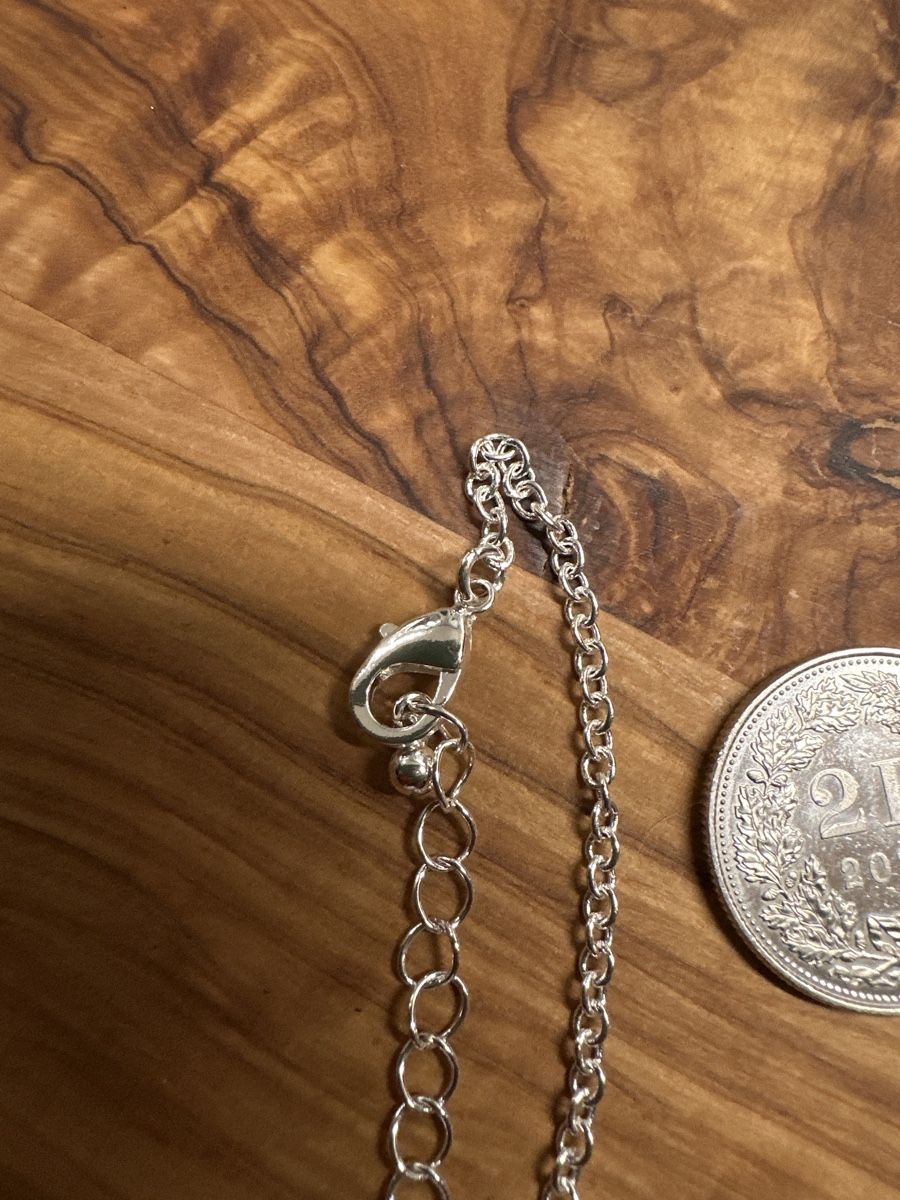 Catenine: Silberne Kette Schildkröte mit Abalone Muschel – Nuovo (secondo la descrizione) da Trüllikon venduto da angela4444 5