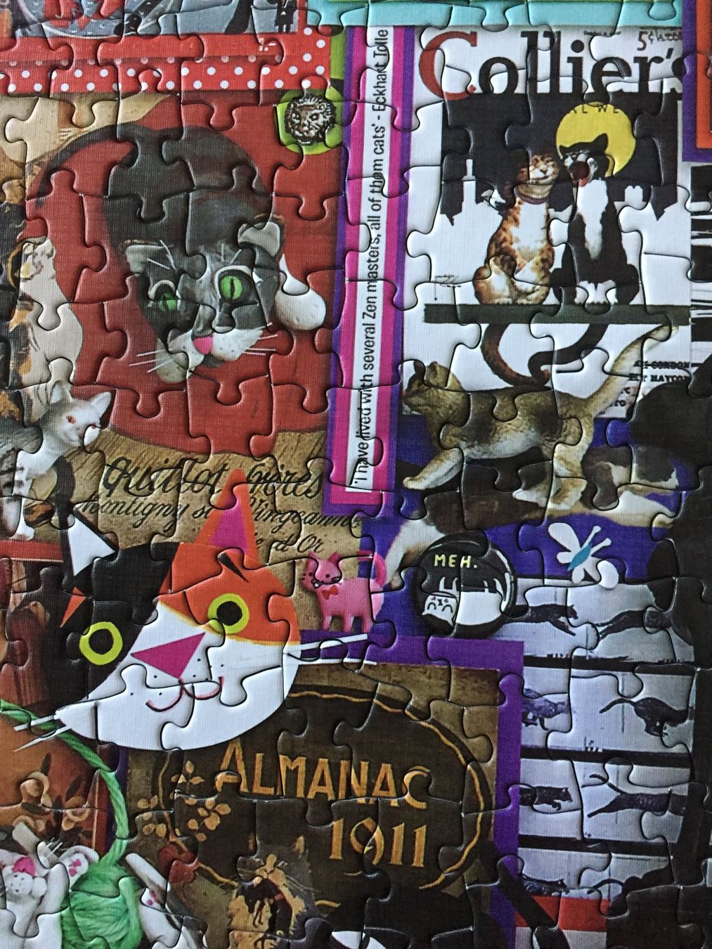 Puzzle: Puzzle Katzen 1000 Teile – Usato da Lützelflüh-Goldb venduto da Fresu8 4