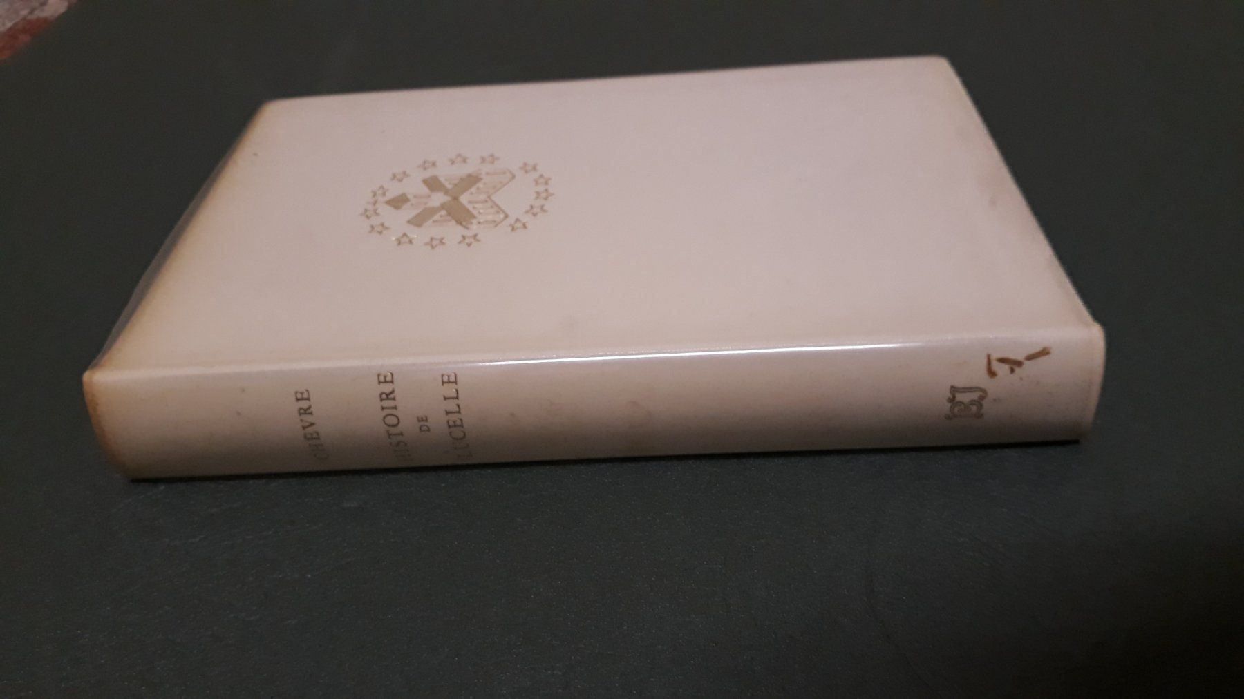 Libri: Histoire de Lucelle – Usato da Courrendlin venduto da Minus78