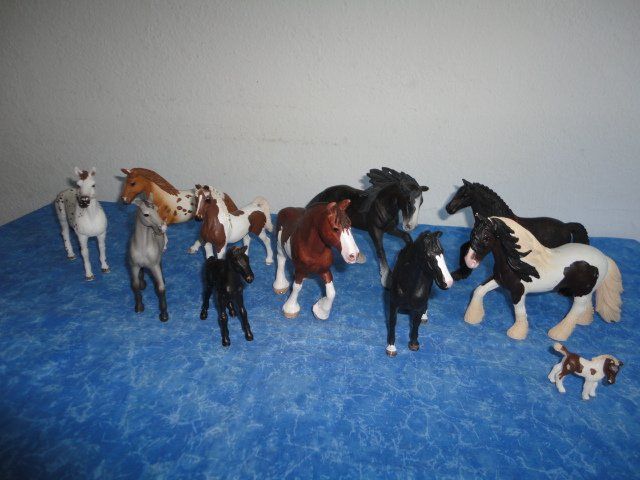 Schleich Spielzeuge: SCHLEICH PFERDE 11X – Neu (gemäss Beschreibung) aus Teufen AR von Donschabl 1