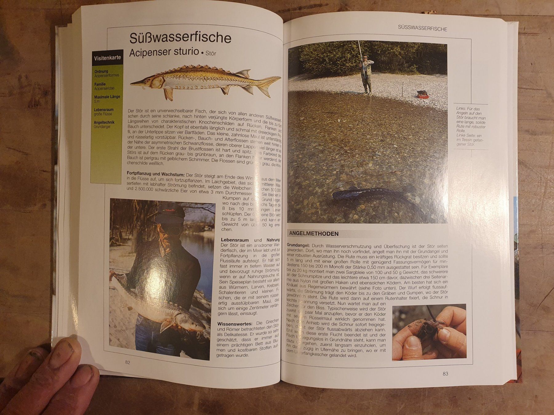 Libri: Angeln Kaiser – Usato da Zürich venduto da loosebone 3
