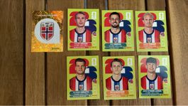 Panini Fussballkarten Norwegen 7 Stk.
