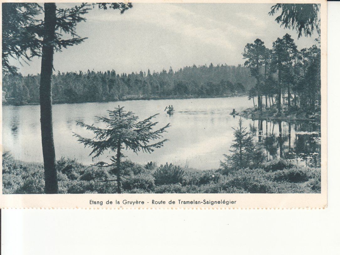 Cartoline postali: Gruyère ca. 1930 – Usato da Bürglen TG venduto da StampGraf