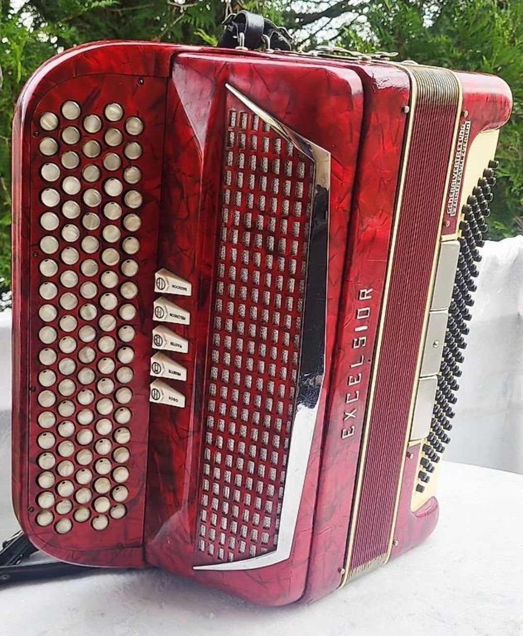 Excelsior Strumenti musicali: Accordéon Excelsior Italia  – Usato da Penthalaz venduto da EvandroLuz