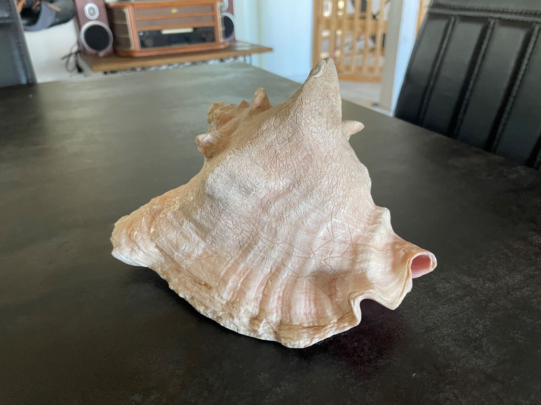 Figuren: Ancien Coquillage de Mer – Gebraucht aus Vallamand von Bricbracbroc82 4