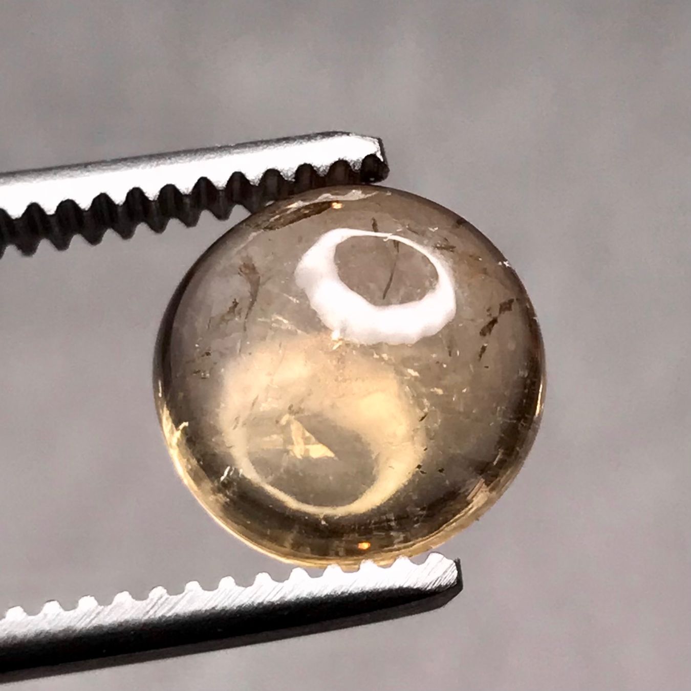 Pietre preziose: Citrin Cabochon, rund, 3.1 Karat – Nuovo (secondo la descrizione) da Biel venduto da djvalbnc 2