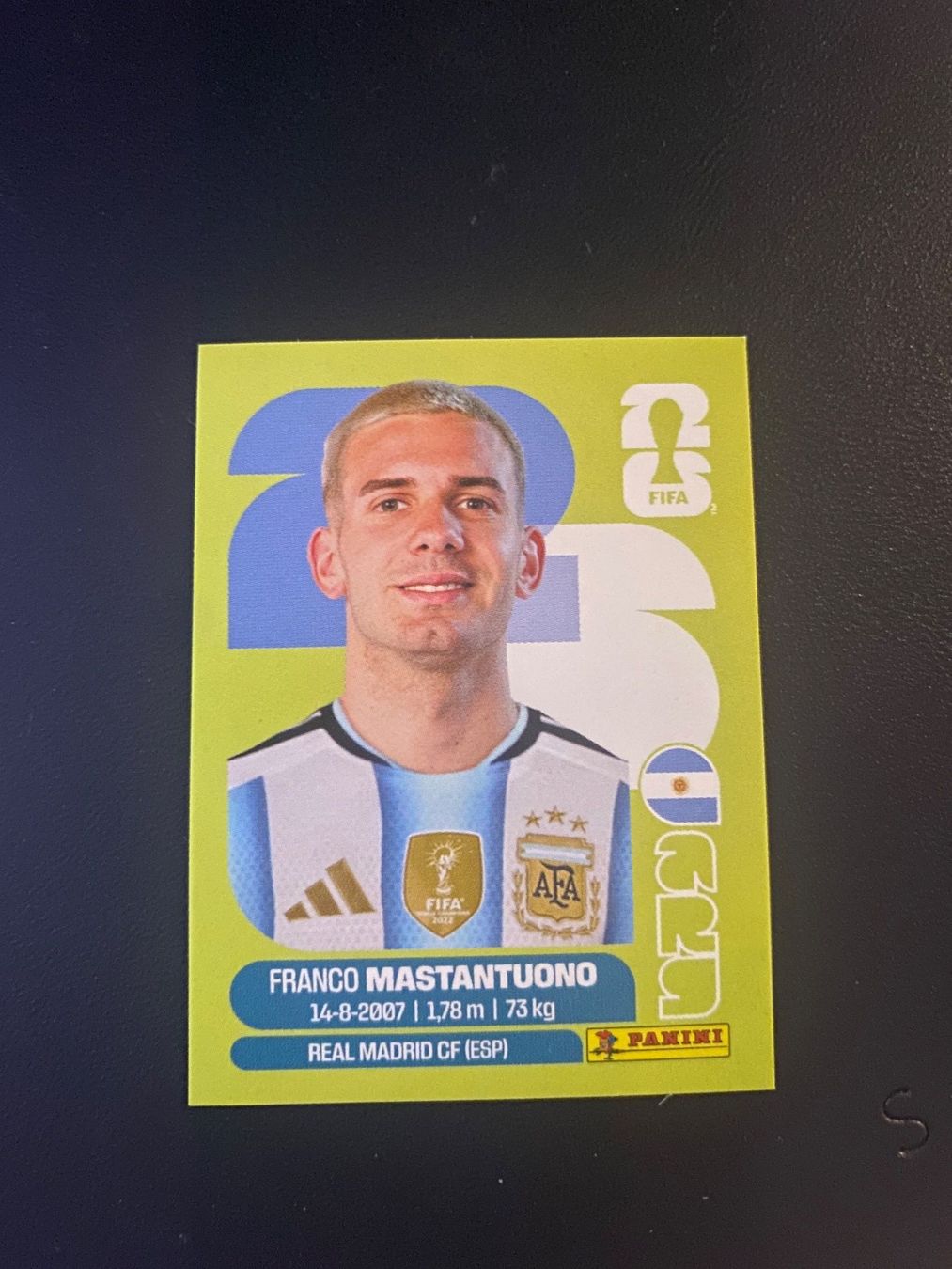 Panini Carte collezionabili: Panini FIFA World Cup Sticker ARG 15 – Nuovo (secondo la descrizione) da Glattbrugg venduto da riseca