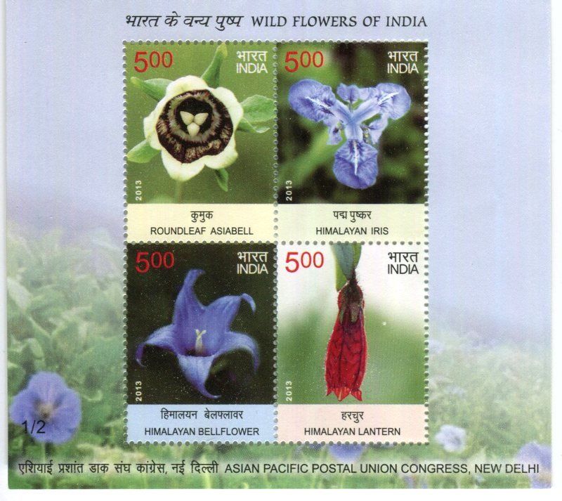Tutti i francobolli: Block "Blumen". Indien – Nuovo e nell'imballaggio originale da Basel venduto da Butsch5