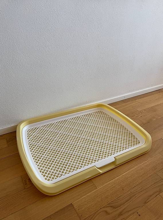 WC: Large Flat Dog Toilet – Usato da Lausanne venduto da ais_yxt8