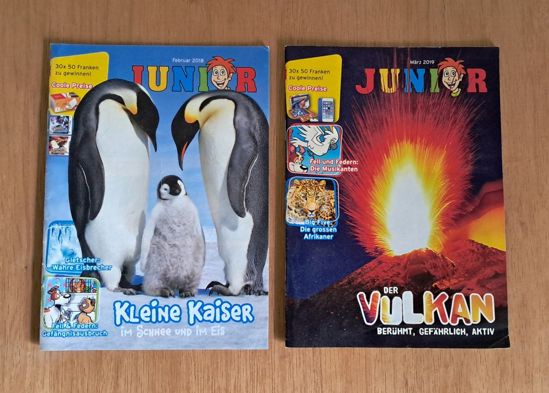 Riviste & Magazine: Junior Zeitschriften von 2014 bis 2019 – Usato da Bern venduto da pet_dzd7 6