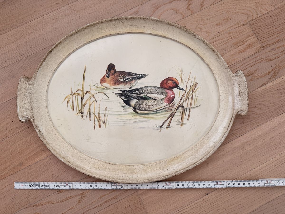 Tutte le decorazioni: Vintage Serviertablett mit Entenmotiv – Usato da Rorschach venduto da nan_8rts 2