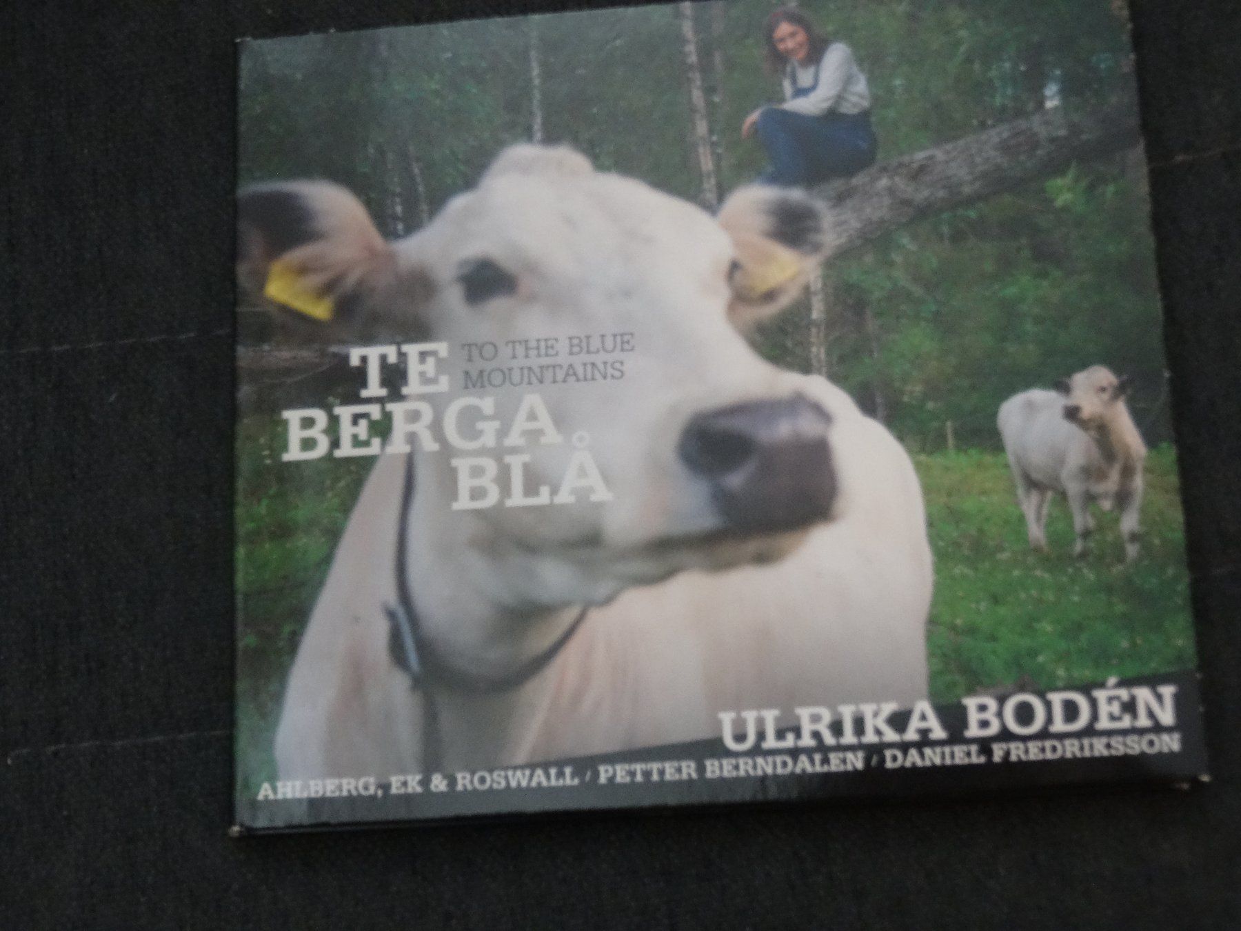 CDs: Ulrika Boden - Te Berga bla CD – Gebraucht aus Olten von Disc-Ausverkauf