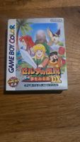 Zelda Link's awekening DX GBC Nintendo Game Boy Color Japan