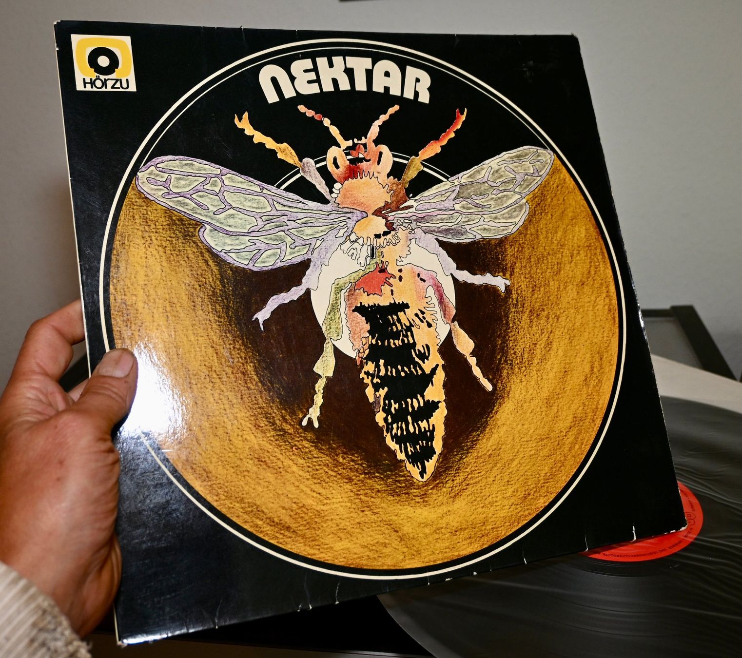Dischi in vinile: KRAUT prog 1976 Nektar SAME Lp vg(+) / vg – Usato da Pfaffhausen venduto da mono_rec