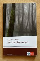 Un si terrible secret - Évelyne Brisou-Pellen