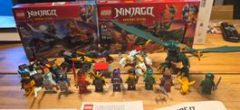 LEGO Ninjago  71838,30675,30649,3073,30700,30534.71829