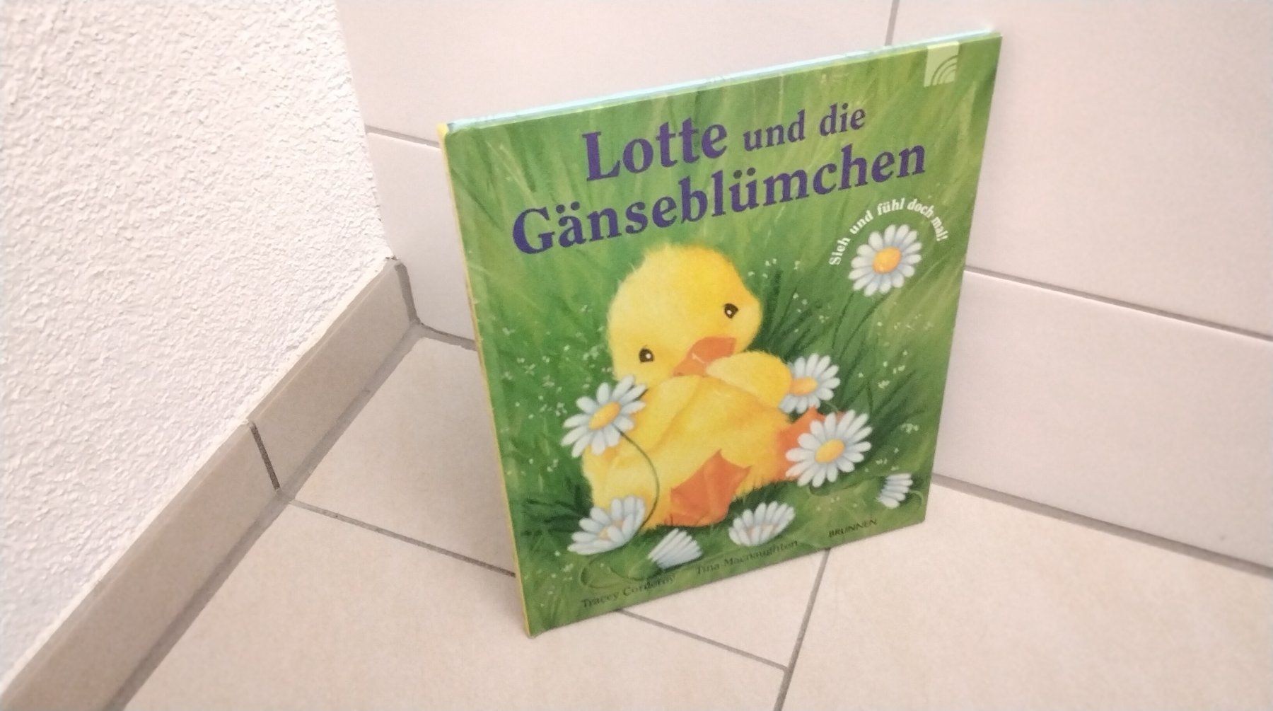 Libri: Lotta und die Gänseblümchen – Usato da Steinhausen venduto da pinu09 3