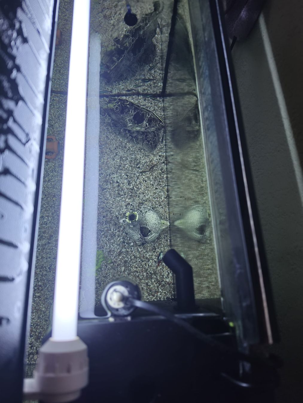 Juwel Aquarium: Aquarium – D'occasion à Weier im Emmental par Matthias079 3