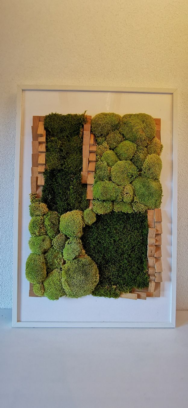 Tutte le decorazioni: Moosbild handgemachte 94 x 63 cm – Usato da Wuppenau venduto da Gemini121021 2