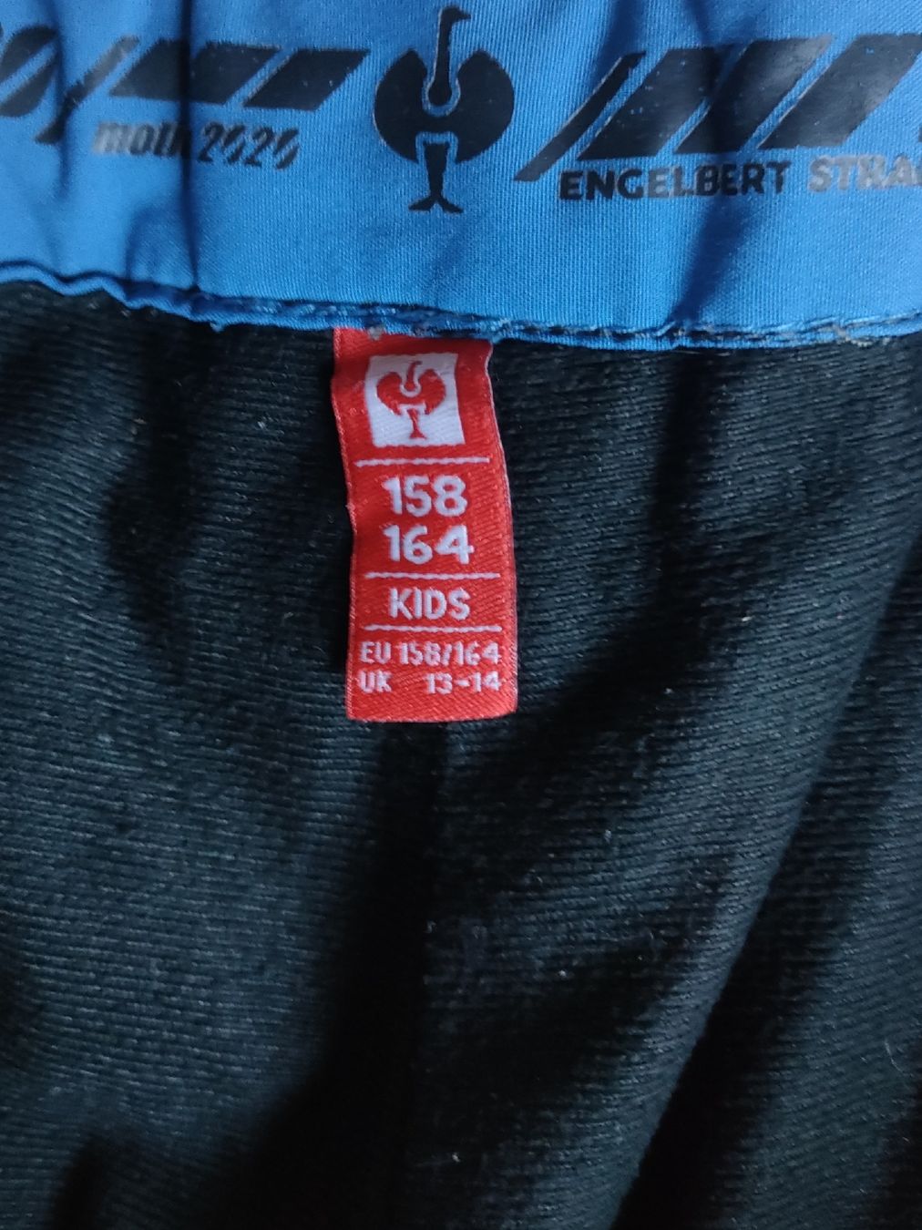 Engelbert Strauss Pantaloni: Engelbert Strauss Winterhose – Nuovo (secondo la descrizione) da Scheunen venduto da klare2 2