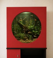 Aquarium „Schilliger“