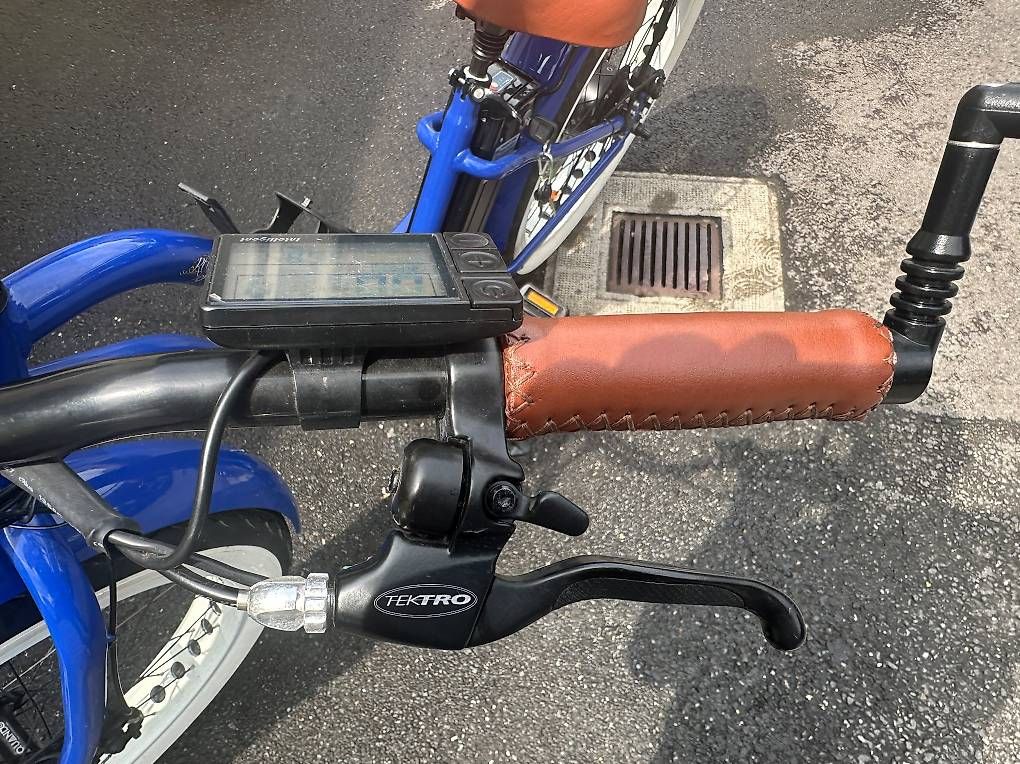 Biciclette: Fatbike électrique type Lady Gorille – Usato da Aire-la-Ville venduto da alo_5grh 3