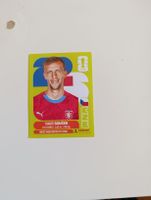 Panini World Cup 2026 CZE 12