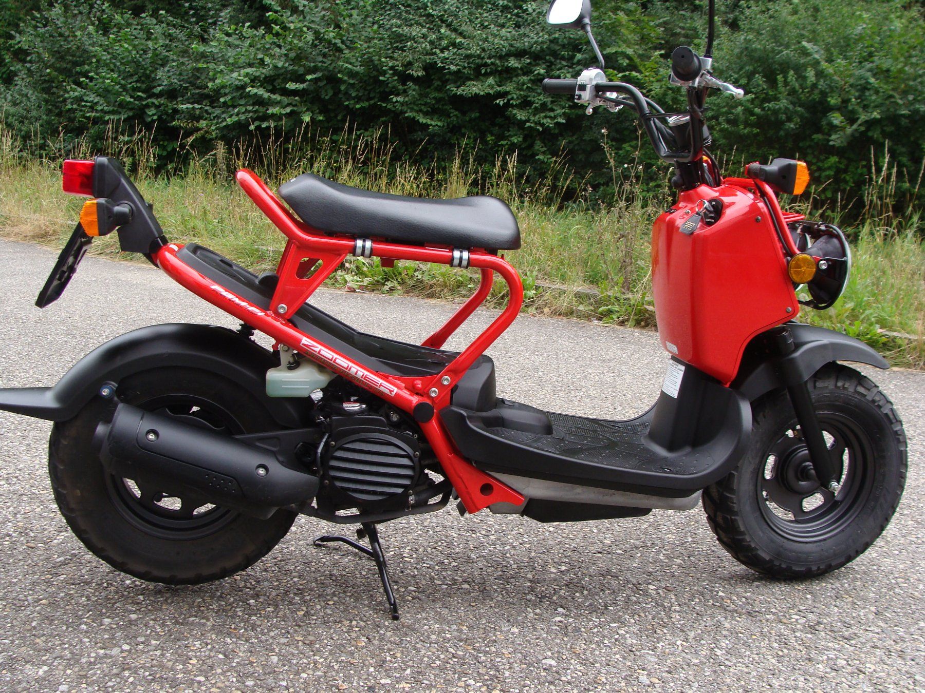 Honda Scooter: honda zoomer – Usato da cortébert venduto da Dingofilou 1