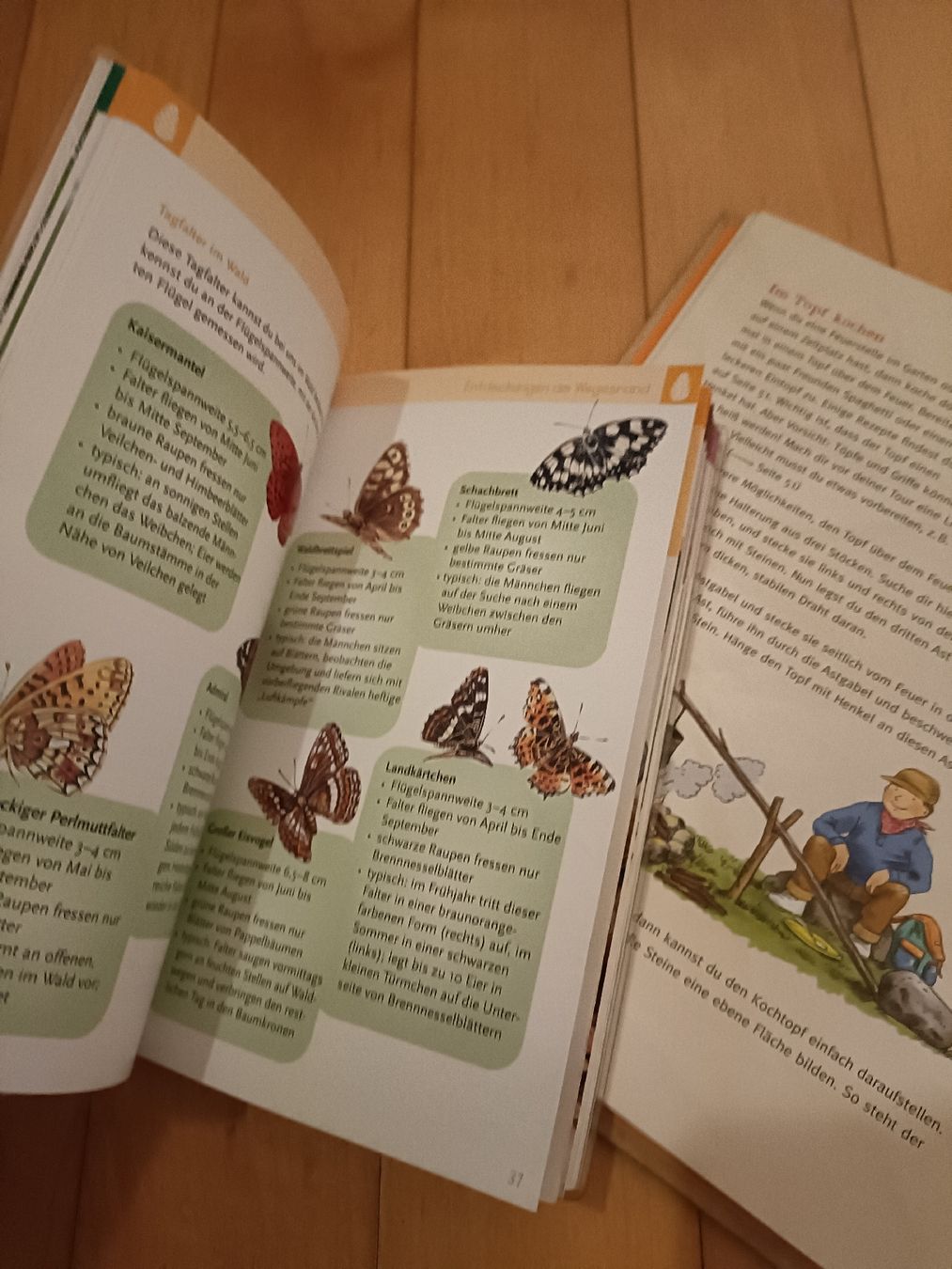 Libri: Abenteuer im Wald, 2 Bücher – Nuovo (secondo la descrizione) da Gossau SG venduto da scania1509 3