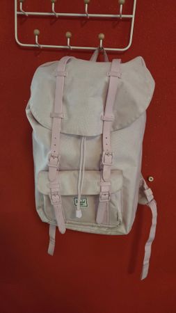 Herschel Rucksack rosafarben guter Zustand