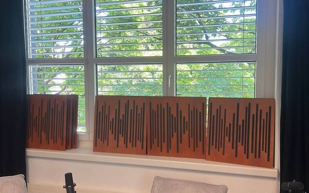 Altri accessori: 9x Vicoustics Akustikpanele – Usato da Oberglatt venduto da Prinzip
