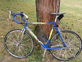 Wilier Rennvelo 