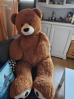 Plüschbär 