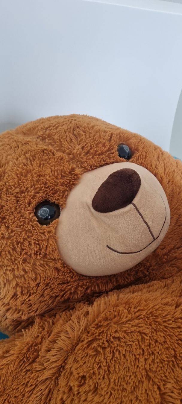 Giocattoli: Peluche Orso gigante – Usato da Ligornetto venduto da nic_rp2g