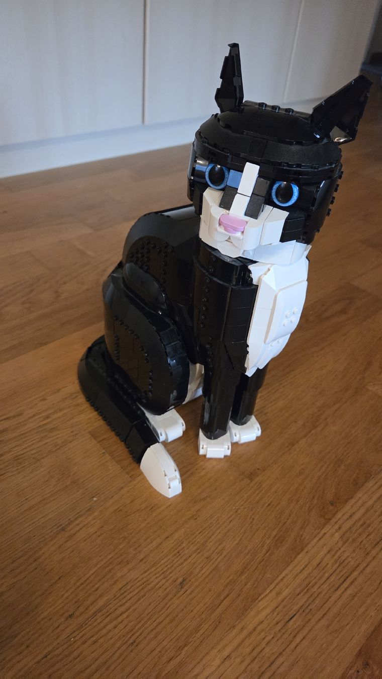 Lego Spielzeuge: Lego Katze – Gebraucht aus Esslingen von Bolormaa 1