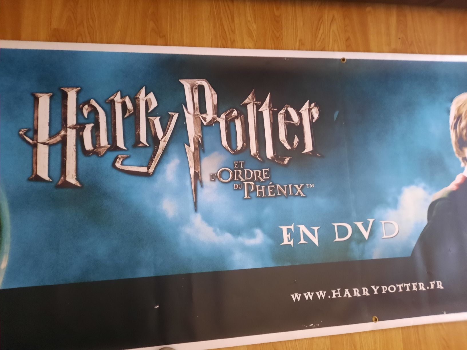 Poster & Bilder: cartellone pubblicitario Harry Potter – Gebraucht aus Biasca von Old_6blh 3