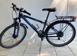Wheeler Kinder Citybike