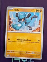 Riolu - Pokemon Ascended Heroes