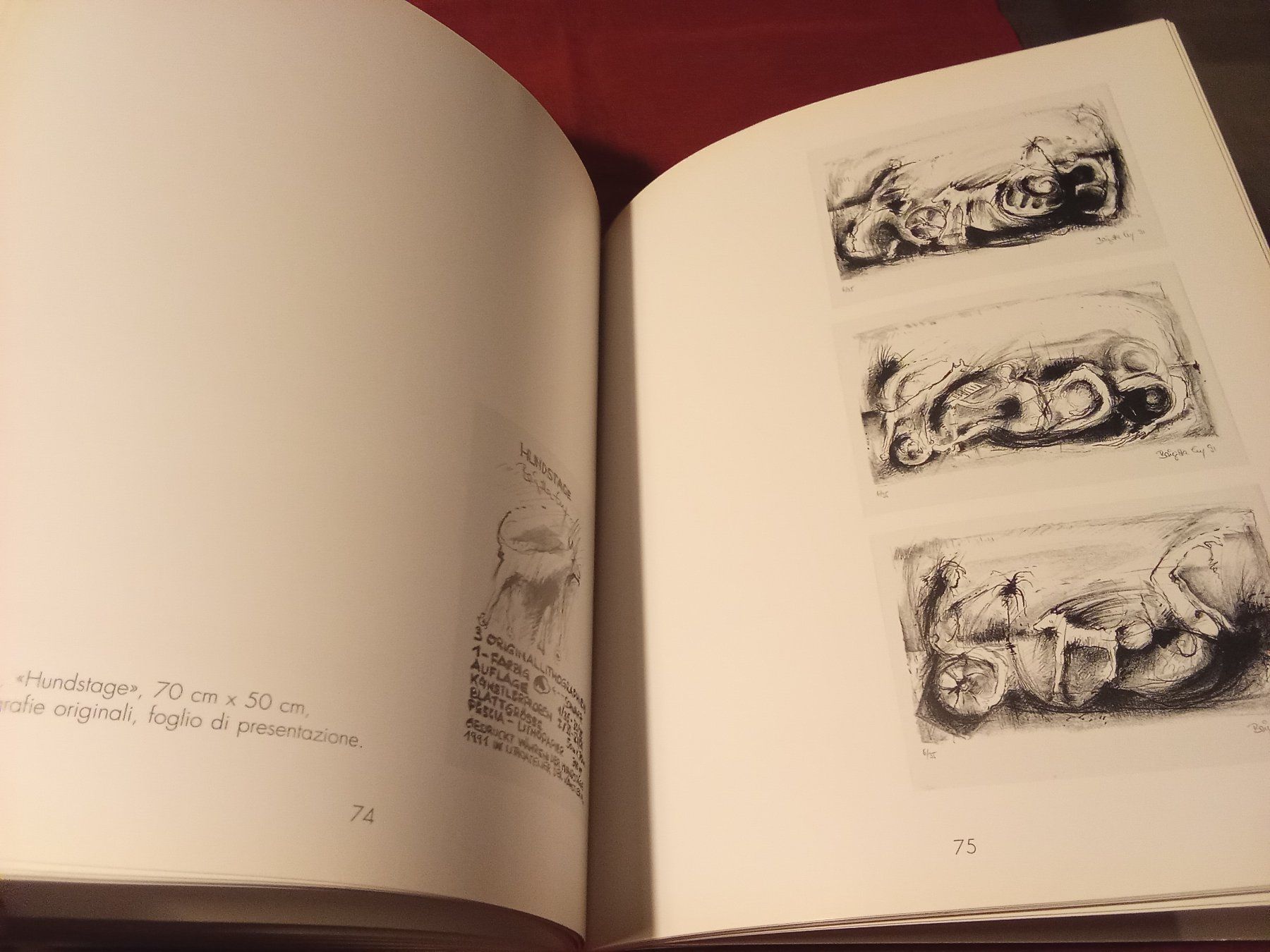 Libri: Alexandra Grosse - Brigitta Enz Bilder 1991-1995 – Usato da Remetschwil venduto da Privatflohmi 6