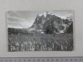 Grindelwald, Wetterhorn