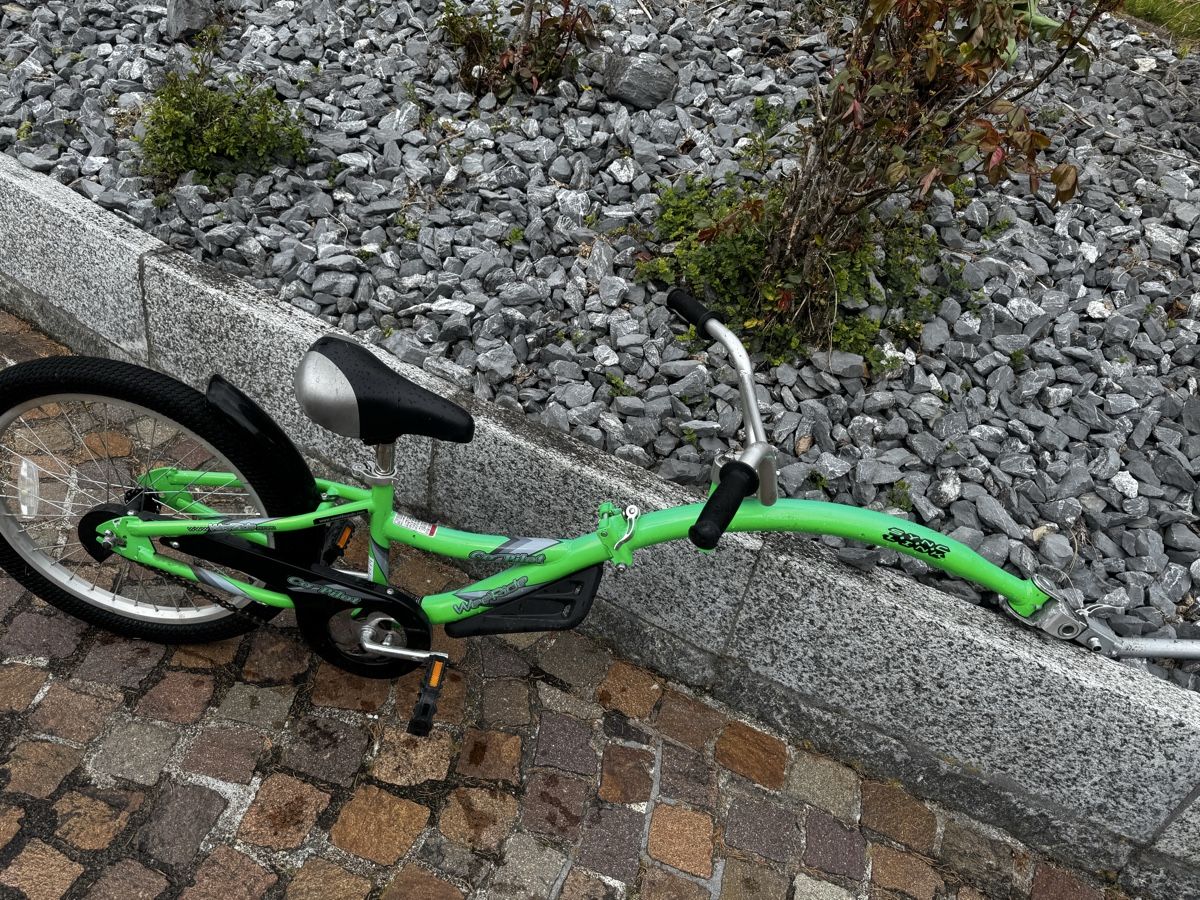 Rimorchi: Anhängervelo – Usato da Embrach venduto da nici2104